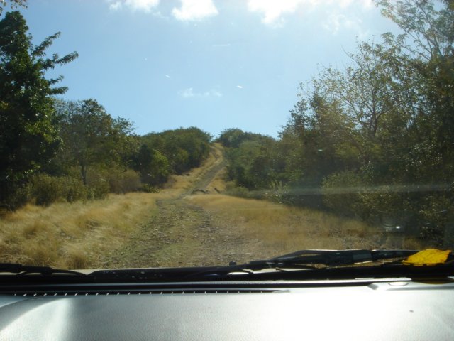 ridgeonlyroad.jpg