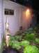 garden001_small.jpg