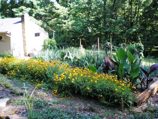 garden006.jpg
