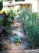 garden010_small.jpg