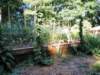 garden012_small.jpg